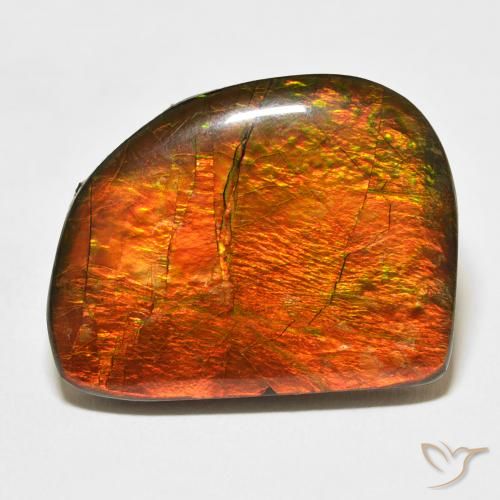 21.11ct Naturale Multicolore Ammolite, Taglio a fantasia, Opaco