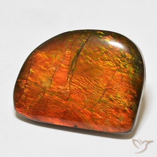 Ammolite Multicolore naturale da 21.11 ct, Taglio a fantasia, Opaco