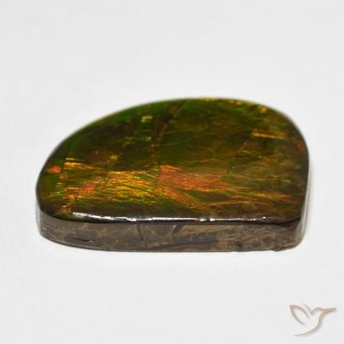 Ammolite Multicolore naturale da 21.11 ct, Taglio a fantasia, Opaco