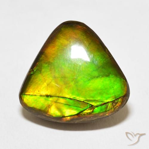 Ammolite Multicolore naturale da 10.86 ct, Taglio trillion, Opaco
