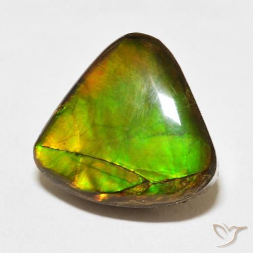 Ammolite Multicolore naturale da 10.86 ct, Taglio trillion, Opaco