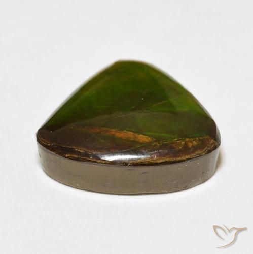 Ammolite Multicolore naturale da 10.86 ct, Taglio trillion, Opaco