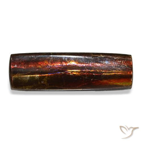 4.55ct multicolore ammolite, baguette, opaco