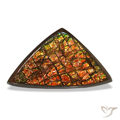 Ammolite naturale multicolore da 6,33 ct, trillion, opaco