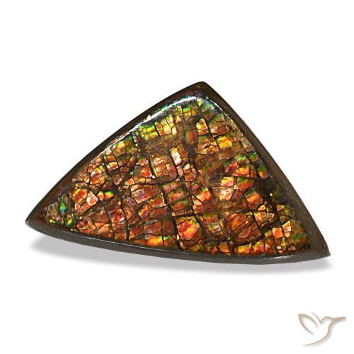 Ammolite naturale multicolore da 6,33 ct, trillion, opaco