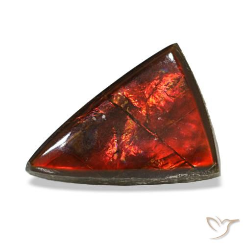 Ammolite naturale multicolore da 3,12 ct, trillion, trasparente