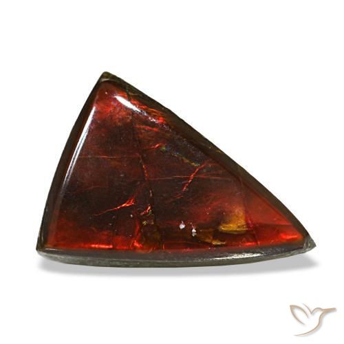 Ammolite naturale multicolore da 3,12 ct, trillion, trasparente
