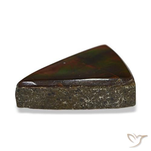 Ammolite naturale multicolore da 3,12 ct, trillion, trasparente