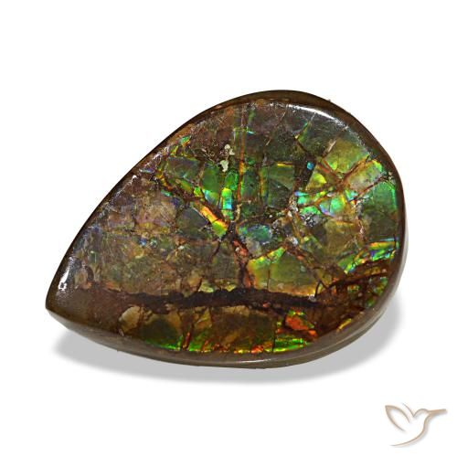 Ammolite naturale multicolore da 6,06 ct, taglio a pera, opaco