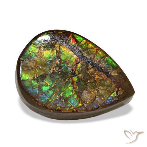 Ammolite naturale multicolore da 6,06 ct, taglio a pera, opaco