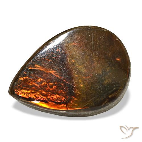 5.02ct multicolore ammolite, taglio a pera, opaco