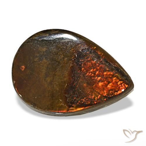 Ammolite naturale multicolore da 5,02 ct, taglio a pera, opaco