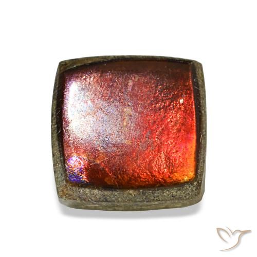 Ammolite naturale multicolore da 1,45 ct, quadrato, opaco
