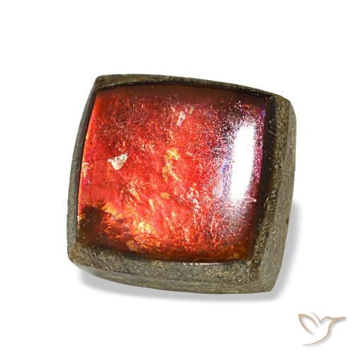 Ammolite naturale multicolore da 1,45 ct, quadrato, opaco