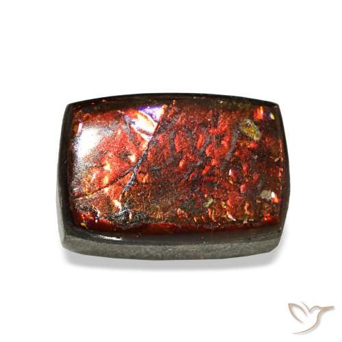 1.62ct multicolore ammolite, baguette, opaco