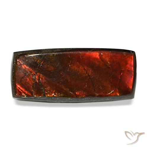 3.83ct multicolore ammolite, baguette, opaco