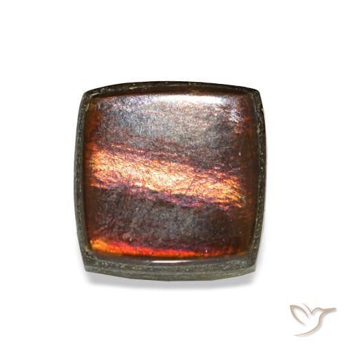 Ammolite naturale multicolore da 1,52 ct, quadrato, opaco