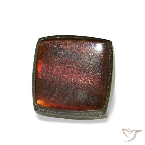 Ammolite naturale multicolore da 1,52 ct, quadrato, opaco