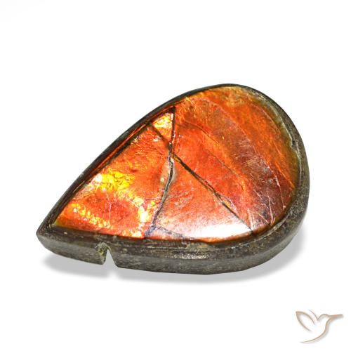 Ammolite naturale multicolore da 1,81 ct, taglio a pera, opaco