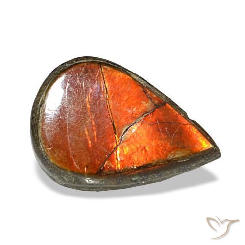 Ammolite naturale multicolore da 1,81 ct, taglio a pera, opaco