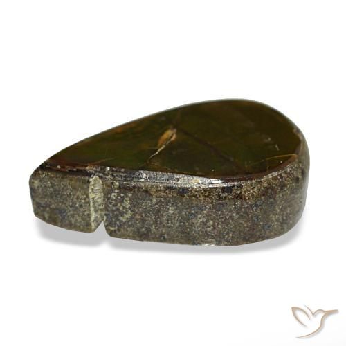 Ammolite naturale multicolore da 1,81 ct, taglio a pera, opaco