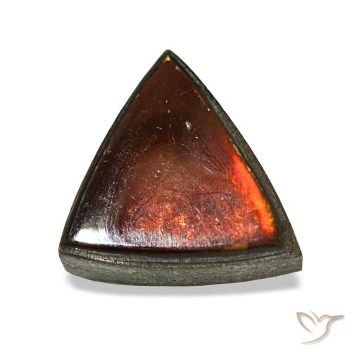 Ammolite naturale multicolore da 1,53 ct, trillion, opaco