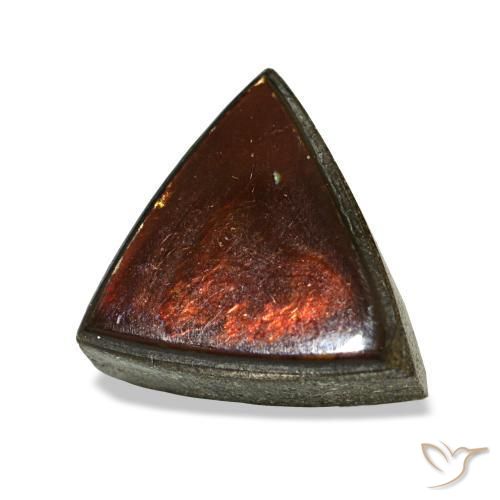 Ammolite naturale multicolore da 1,53 ct, trillion, opaco