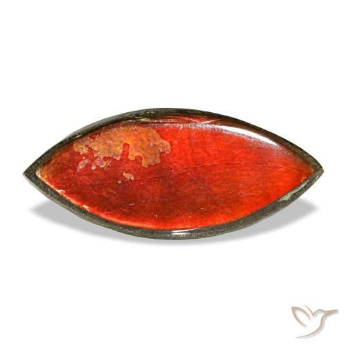 Ammolite naturale multicolore da 2,22 ct, marchesa, opaco
