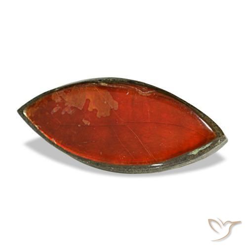 Ammolite naturale multicolore da 2,22 ct, marchesa, opaco