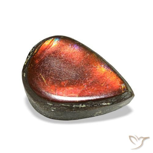 Ammolite naturale multicolore da 1,23 ct, taglio a pera, opaco