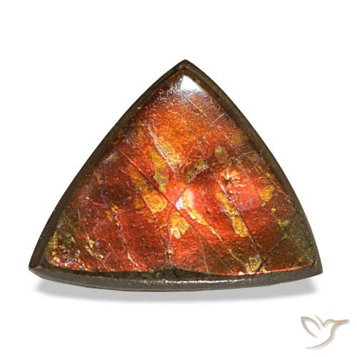 3.33ct multicolore ammolite, trillion, opaco