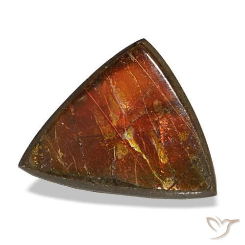 Ammolite naturale multicolore da 3,33 ct, trillion, opaco
