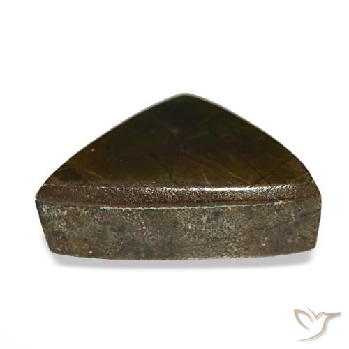 Ammolite naturale multicolore da 3,33 ct, trillion, opaco