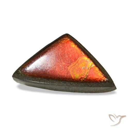 Ammolite naturale multicolore da 1,47 ct, trillion, opaco