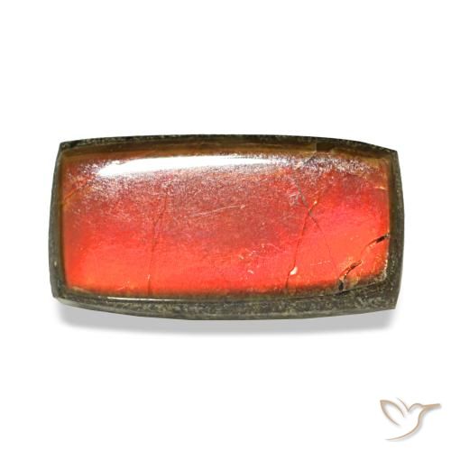 Ammolite naturale multicolore da 1,51 ct, baguette, opaco