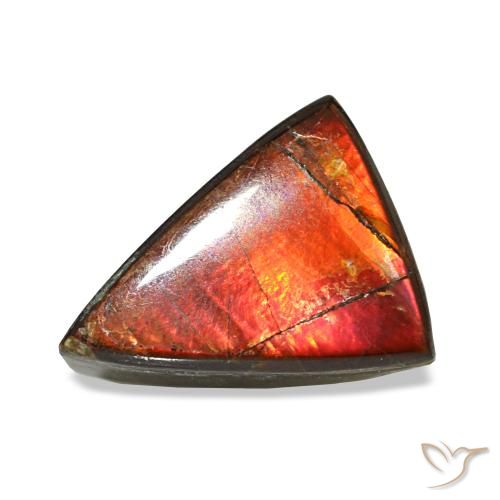1.64ct multicolore ammolite, trillion, opaco