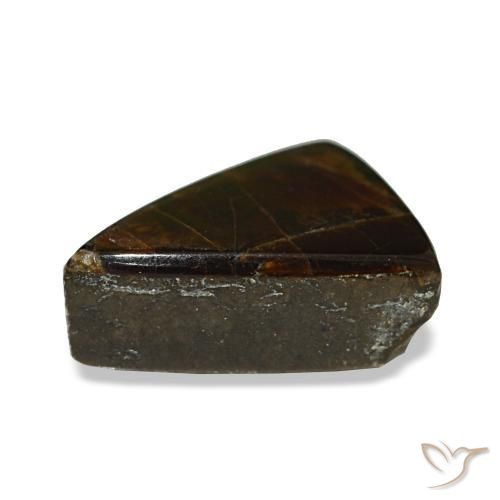Ammolite naturale multicolore da 1,64 ct, trillion, opaco