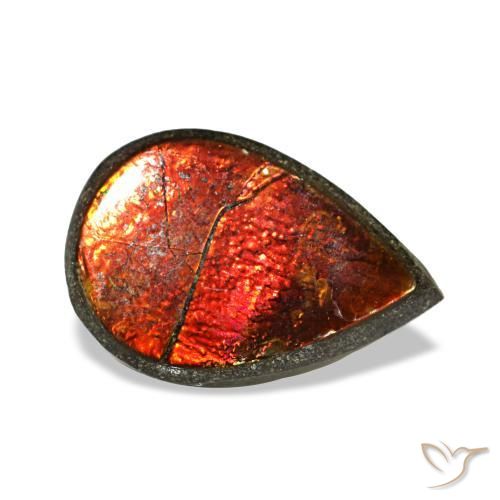 Ammolite naturale multicolore da 1,42 ct, taglio a pera, opaco