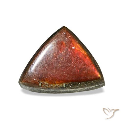 1.17ct multicolore ammolite, trillion, opaco