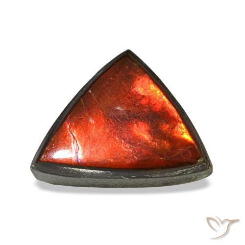 Ammolite naturale multicolore da 1,77 ct, trillion, opaco