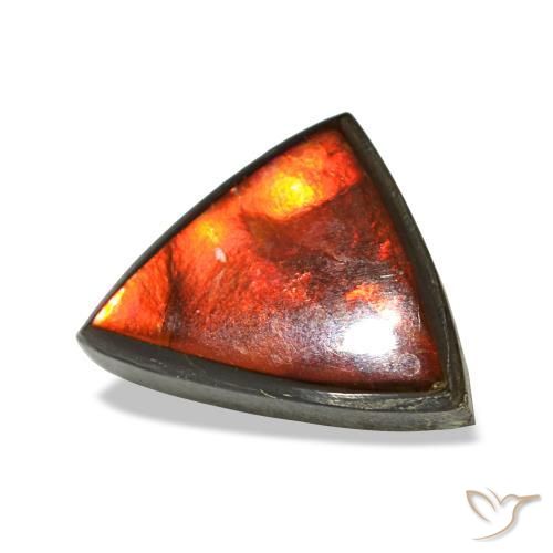 Ammolite naturale multicolore da 1,77 ct, trillion, opaco