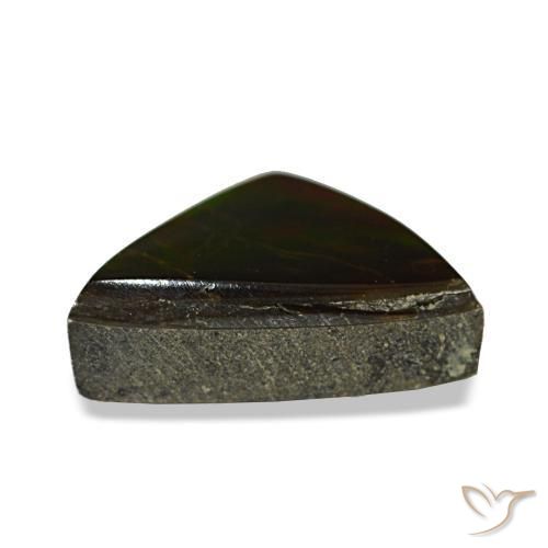 Ammolite naturale multicolore da 1,77 ct, trillion, opaco
