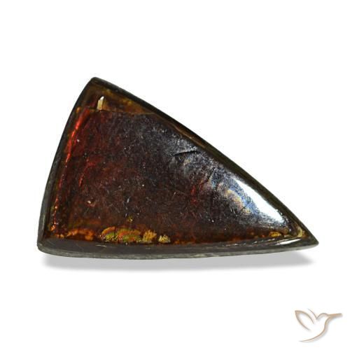 Ammolite naturale multicolore da 1,89 ct, trillion, opaco
