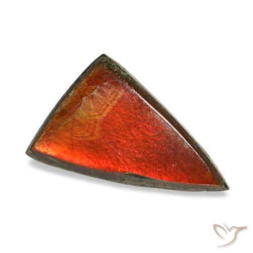 Ammolite naturale multicolore da 1,11 ct, trillion, opaco