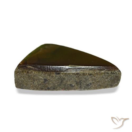 Ammolite naturale multicolore da 1,11 ct, trillion, opaco