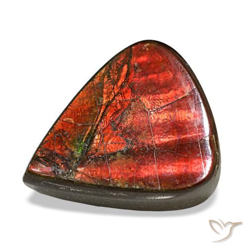 Ammolite naturale multicolore da 8,58 ct, taglio a pera, opaco