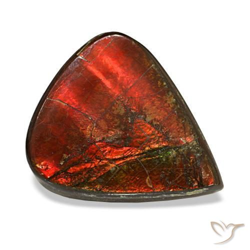 Ammolite naturale multicolore da 8,58 ct, taglio a pera, opaco