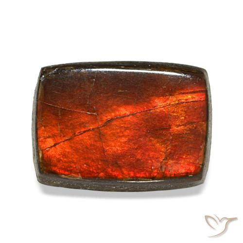 Ammolite naturale multicolore da 2,74 ct, baguette, opaco