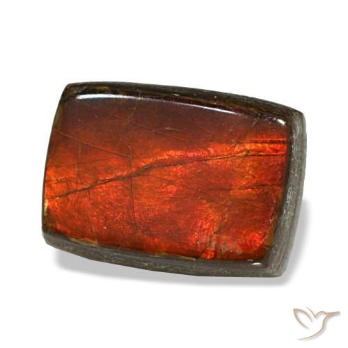 Ammolite naturale multicolore da 2,74 ct, baguette, opaco