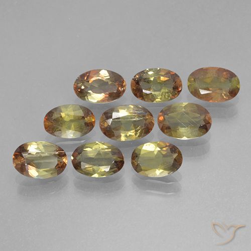 3.45ctw Naturale Multicolore Andalusite, Ovale, VS-SI